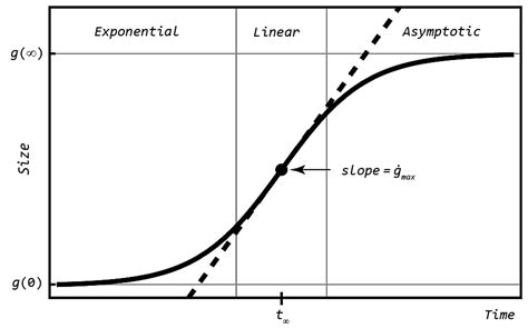 What Is Sigmoid Curve