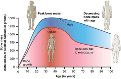 Signs of Growth Hormone Deficiency in Adults