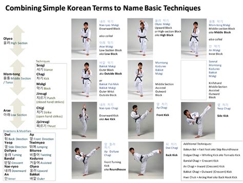 Basic Blocks in Taekwondo - RexjoysMeyer