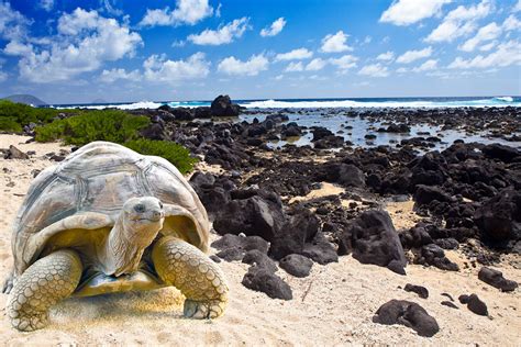 Galapagos Islands a "Missing" Place on Earth - Gets Ready