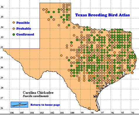 CAROLINA CHICKADEE - The Texas Breeding Bird Atlas