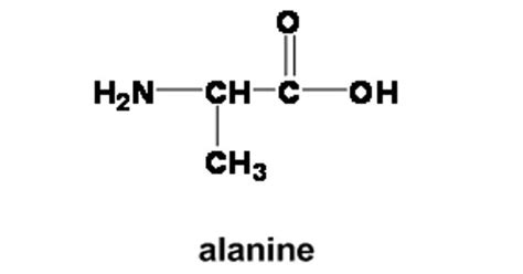 Alanine Amino Acid Structure