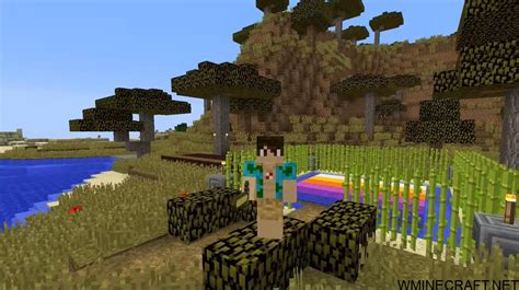 OptiFine-HD-Mod-2 - World Minecraft