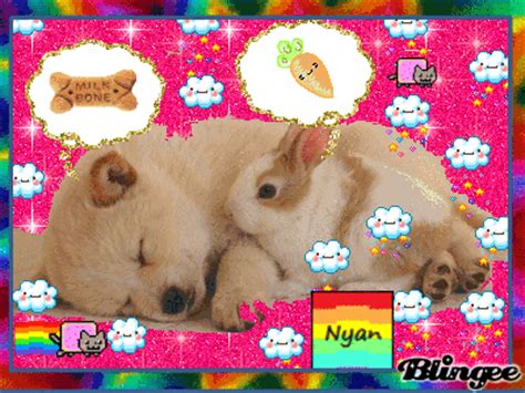 Puppy and Bunny Sleeping Picture #129888937 | Blingee.com