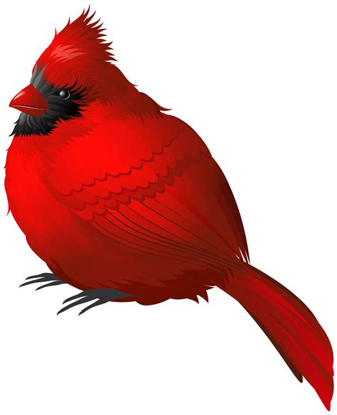 Cardinal clipart song bird, Cardinal song bird Transparent FREE for ...