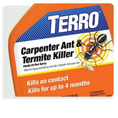 Amazon.com : TERRO Carpenter Ant & Termite Killer Ready-to-Use, ! Quart ...