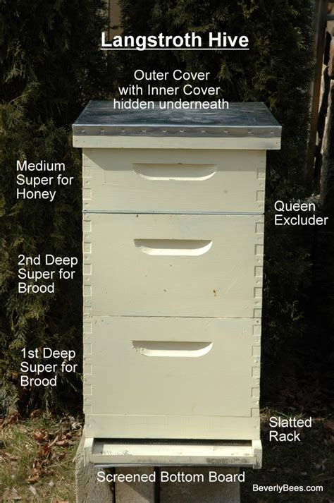 Parts of a Beehive - Beginner Beekeeper's Guide - Beekeeping - BEVERLY BEES