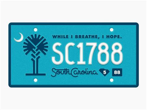 State Plates Project – South Carolina | Targhe, Design, Cultura pop