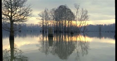 Atchafalaya National Heritage Area, Baton Rouge | Roadtrippers