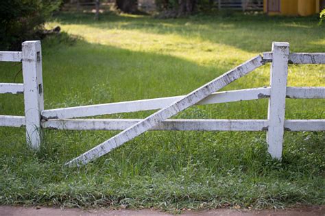 Broken Fence Pictures | Download Free Images on Unsplash