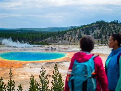 Yellowstone National Park | Yellowstone In Wyoming