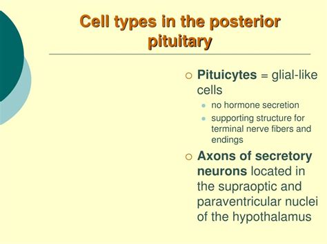 [DIAGRAM] Diagram Of Pituitary Gland Cells - MYDIAGRAM.ONLINE