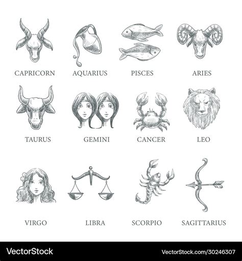 Astrology and zodiac signs horoscope symbols Vector Image