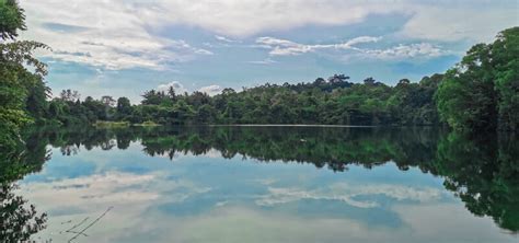 The Complete Guide for Exploring Pulau Ubin, Singapore - Trevallog