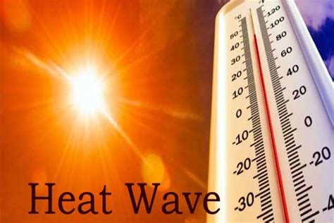 Temperatures and heat waves likely to increase again in summer in 2023 ...