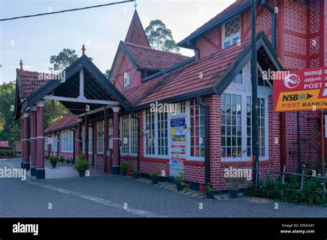 Nuwara Eliya tea fields of Sri Lanka Stock Photo - Alamy