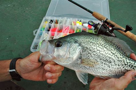 Hot Crappie Fishing Lures For Catching Slabs Of Panfish