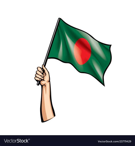 Bangladesh flag and hand on white background Vector Image