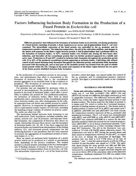 (PDF) Factors Influencing Inclusion Body Formation in the Production of ...