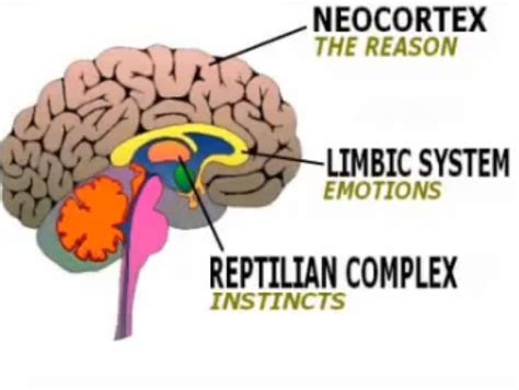 Pin on Trauma Therapy