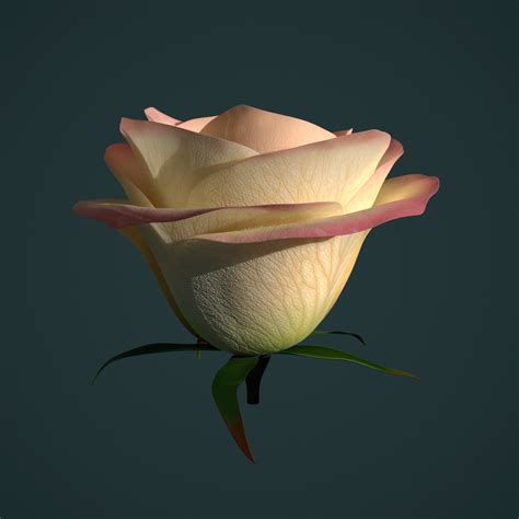 3D rose animation - TurboSquid 1252440