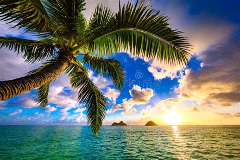 Lanikai Beach Sunrise stock image. Image of surf, wave - 112931085