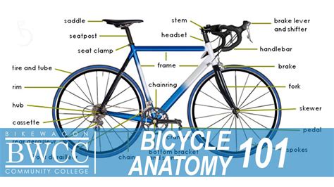 Bicycle Anatomy 101: Learn All the Parts of a Bike - YouTube