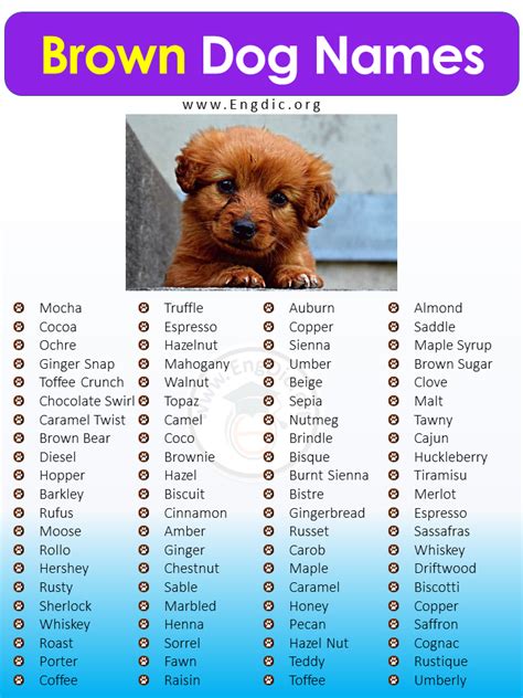 400+ Unique Brown Dog Names, (Male, Female, Pups) - EngDic