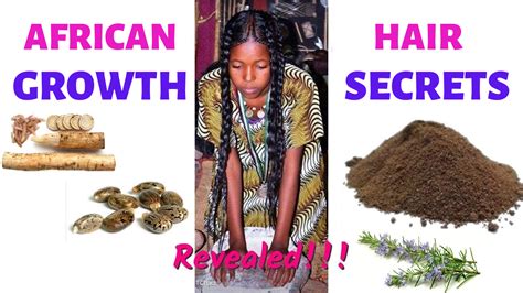 African herbs for hair growth, natural hair growth herbs promote length ...