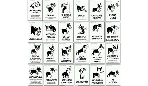 Descubre el Lenguaje Corporal de los Perros: Guía Definitiva