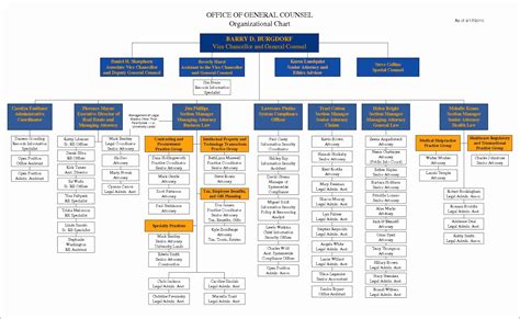 Org Chart Template Word – Atlanticcityaquarium.com