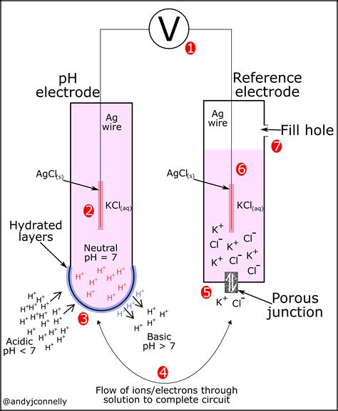 Ph Electrode Diagram