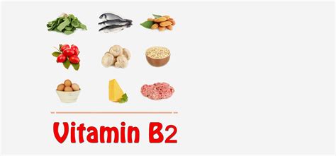 Top 10 Vitamin B2 Rich Foods You Should Include In Your Diet | Family ...