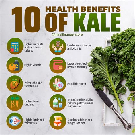 10 health benefits of kale | Kale benefits health, Health, Kale benefits