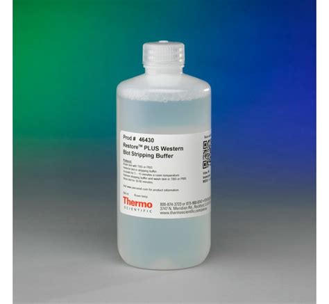 Thermo Scientific Restore PLUS Western Blot Stripping Buffer:Western ...