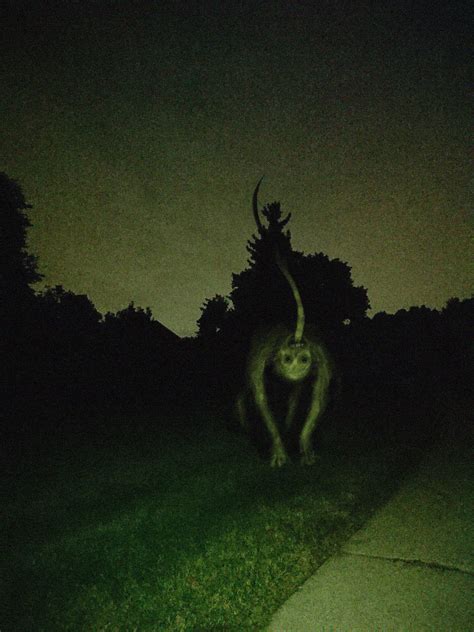 𝐓𝐫𝐞𝐯𝐨𝐫 𝐇𝐞𝐧𝐝𝐞𝐫𝐬𝐨𝐧@SPXJ14! (@slimyswampghost) | Twitter | Scary ...