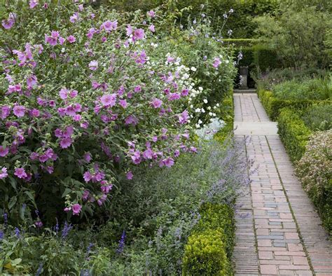 Flowering shrubs for full sun: 5 expert recommendations | Homes & Gardens