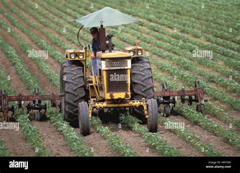 Truck farming hi-res stock photography and images - Alamy