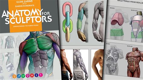 Anatomy For Sculptors Pdf