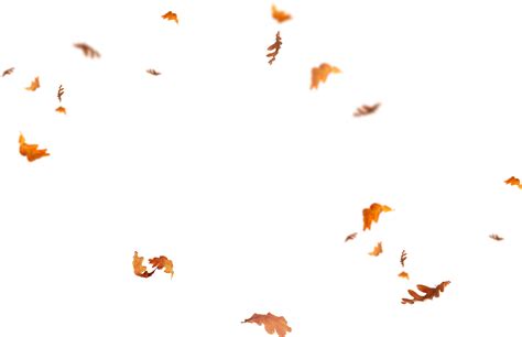 download falling leaves png images - flying autumn leaf png [FREE]