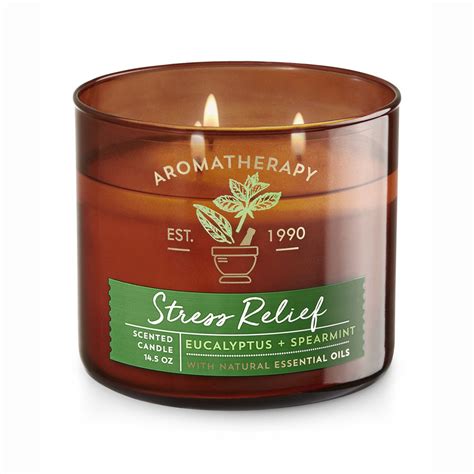 Bath & Body Works Aromatherapy Eucalyptus Spearmint 3-wick Candle ...