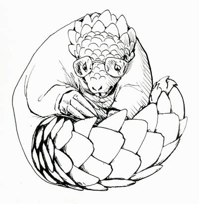 Pangolin Drawing at PaintingValley.com | Explore collection of Pangolin ...