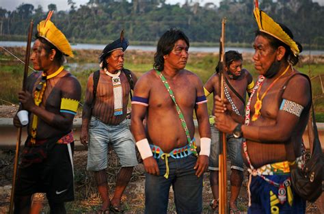 Indigenous groups in the Amazon evolved resistance to deadly Chagas ...