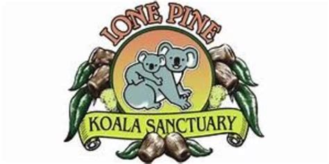 20% Off Lone Pine Koala Sanctuary Promo Codes | Sep 2023