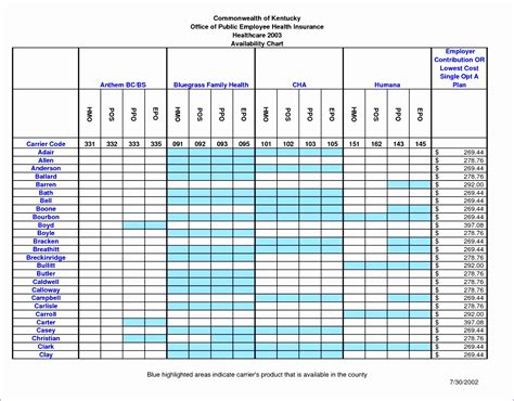 6 Raci Chart Template Excel - Excel Templates