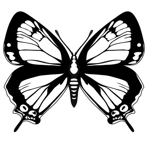 Free Butterflies Black And White Outline, Download Free Butterflies ...