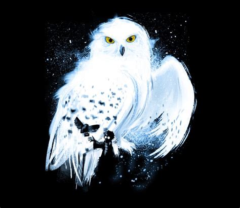 dedicated to all fans of Harry Potter ... edvige (hedwig) Owl postman ...