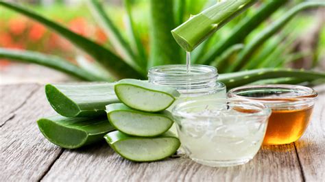 Why Aloe Vera Should Be Your Go-To Ingredient For Summer Cocktails