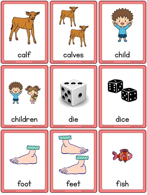 Irregular Plural Nouns – ESL Flashcards