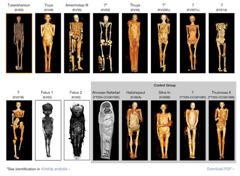 Ancestry and pathology in king tutankhamun's family #kingtut # ...